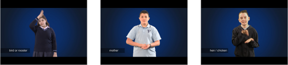 auslan-storytime-apps-and-resources-nextsense